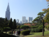 1 eine der vielen wunderschönen Parkanlagen (Shinjuku Goyen) inmitten des Gross-Stadt-Dschungels