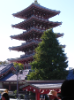 1 schöne 5-stöckige Pagoda neben dem Asakusa-Tempel in Tokyo