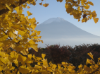 2 Fuji-san, der sich uns immer wieder in seinem schönsten Herbst-Kleid zeigte